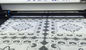 Embroidery Fabric Lace Laser Cutting Machine Intelligent Positioning Cutting